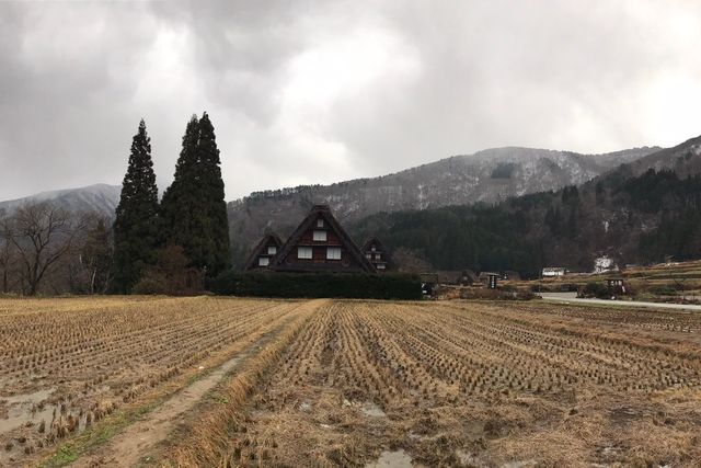 日本中部 名古屋七天六夜與閨蜜的小旅行 遊記 在世界各地當網美