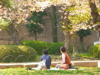 大阪城西之丸庭園