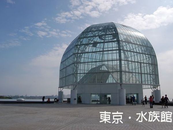 東京 景點 平民價的國家級水族館 日本最大的戶外企鵝區域 日本 東京 關東 旅行酒吧