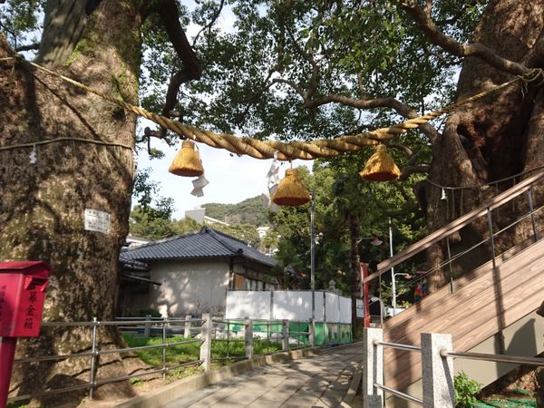 山王神社 一本柱鳥居 長崎景點 Sight6349