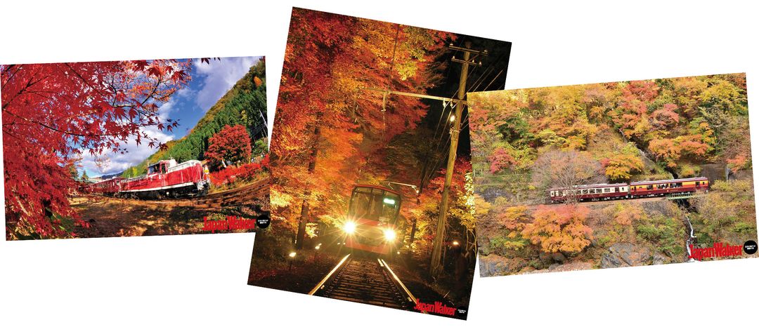 JapanWalker 11月號 日本紅葉真美！秋季賞楓微旅行！&nbsp;