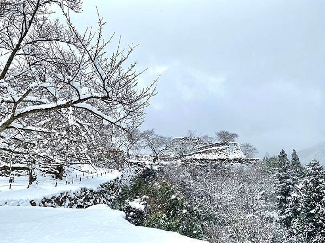 兵庫縣 竹田城跡天空之城 交通攻略 日本 關西 旅行酒吧