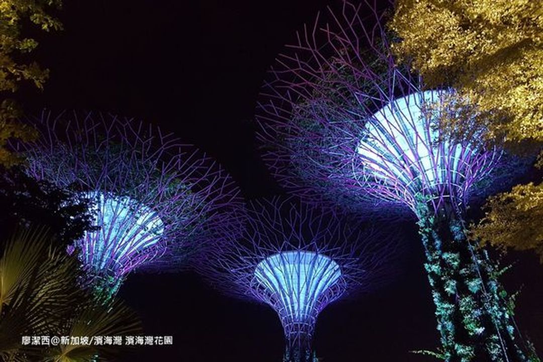 帶孩子去玩新加坡20 新加坡濱海灣 2018 08 到濱海灣花園 Gardens By The Bay 看美美的天空樹 Supertree Grove 音樂燈光秀 新加坡 旅行酒吧