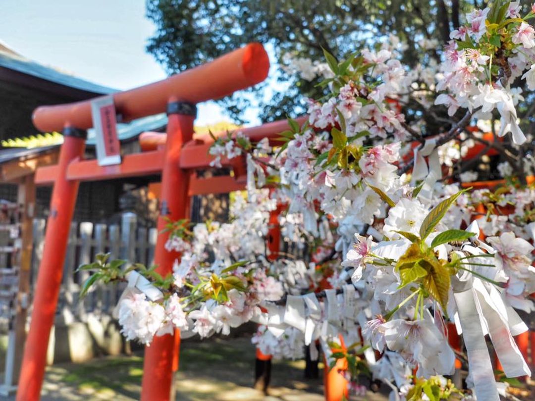 公園內還有一座「日吉神社」