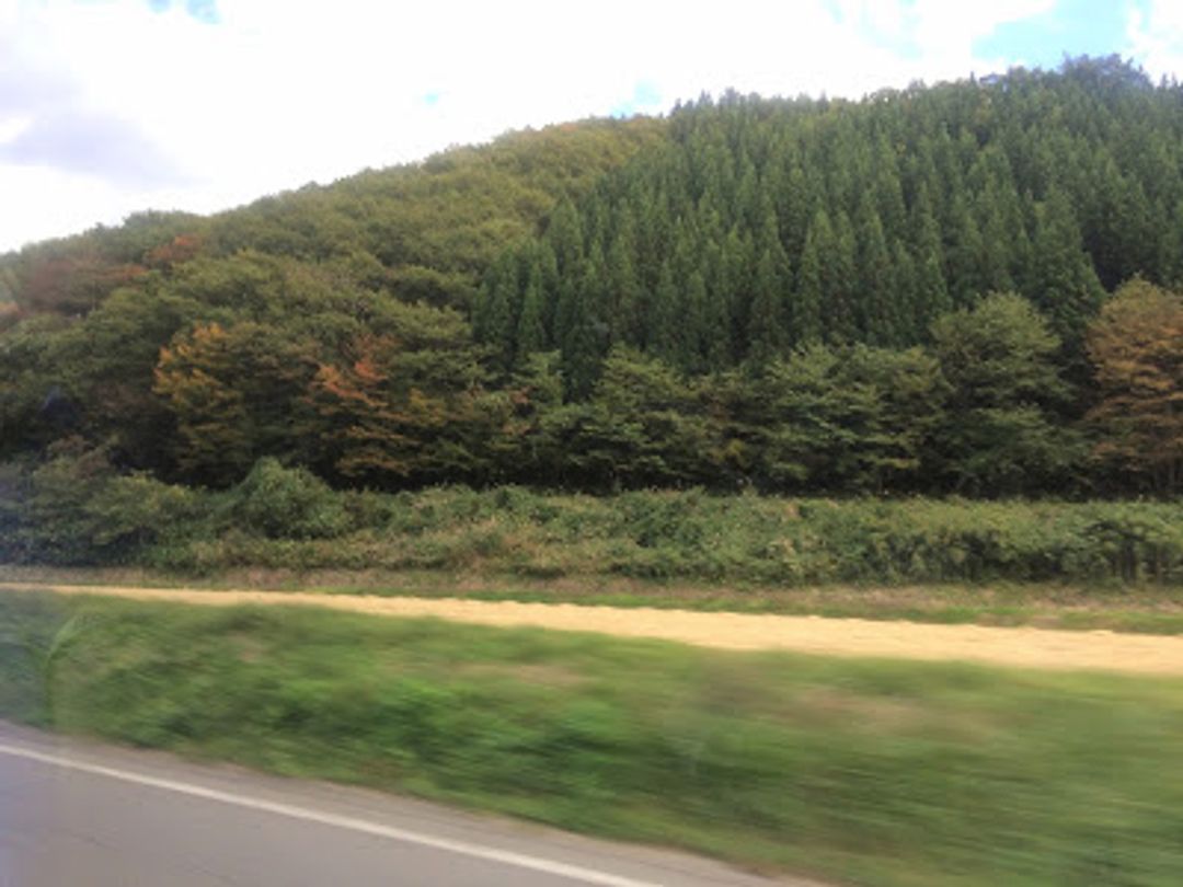 深入日本東北大館市田代岳賞秋景 岩瀨川 糸滝 五色滝 日本 東北 旅行酒吧