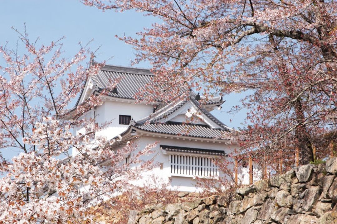 山陰旅行 岡山県津山玩好玩滿先 亀甲 城東街道保存區與津山城 日本 中國地方 旅行酒吧