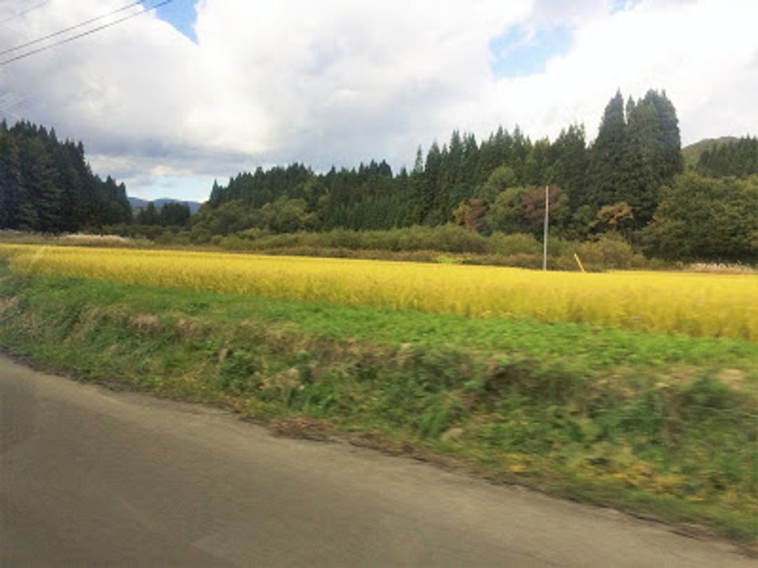 深入日本東北大館市田代岳賞秋景 岩瀨川 糸滝 五色滝 日本 東北 旅行酒吧