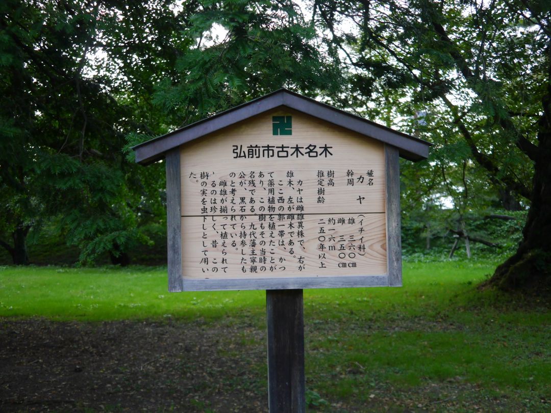 弘前公園裡面的樹木多半年齡都不小