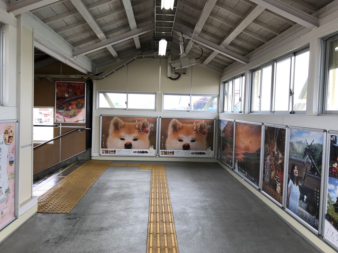 大館車站的天橋上就可以看到可愛的秋田犬