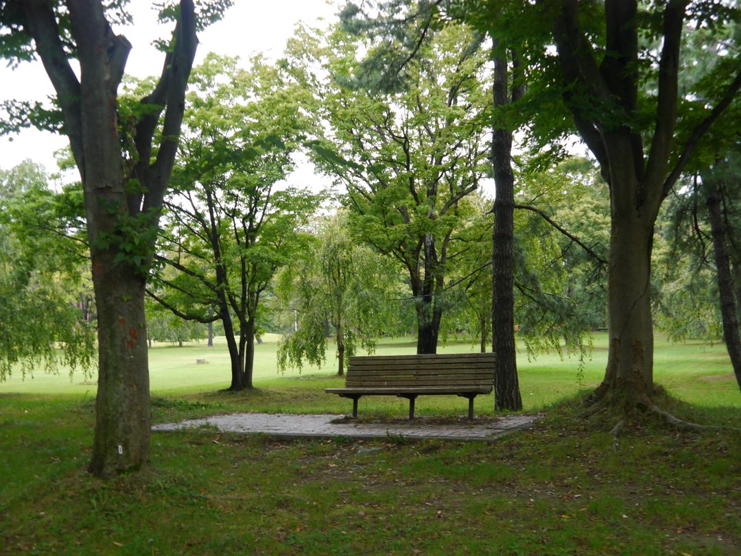 弘前公園內靜靜在等待人們的椅子
