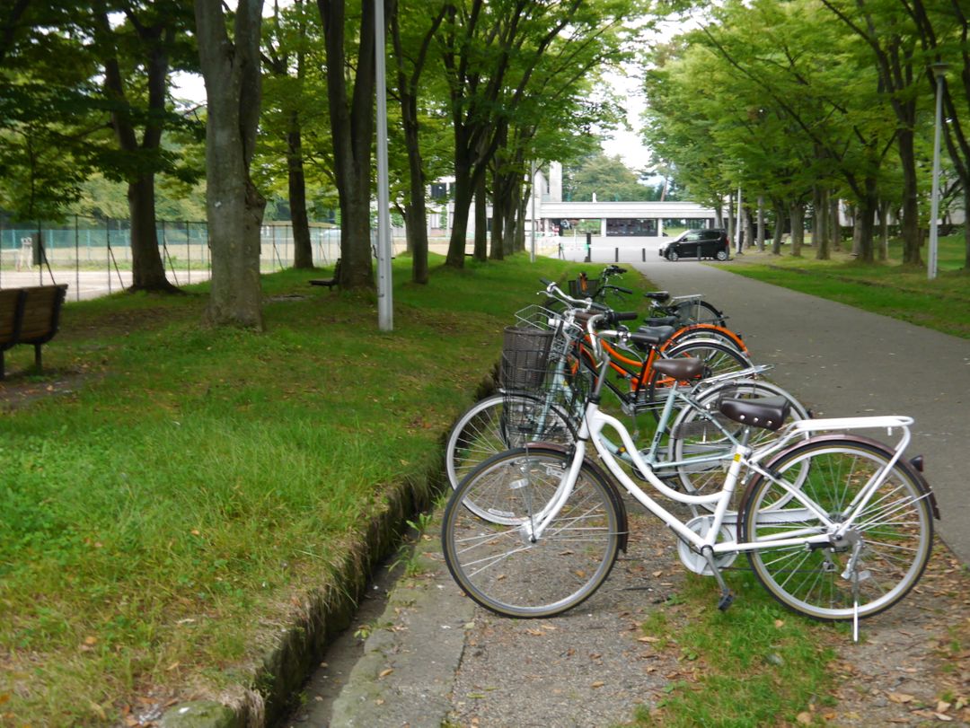 弘前公園裡面的成排的自行車