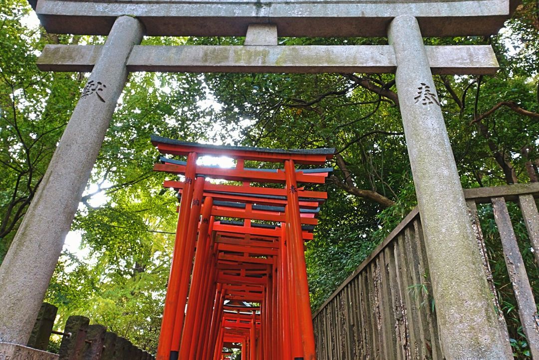 根津神社裡有個稻禾神社的小鳥居