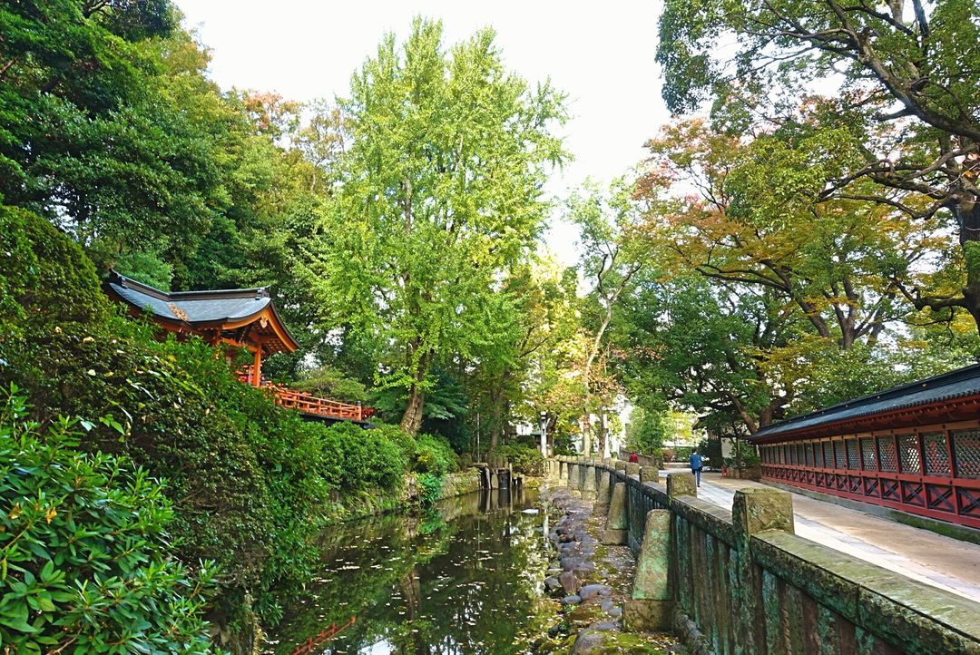 覺得早上來神社境內悠閒走走也不錯