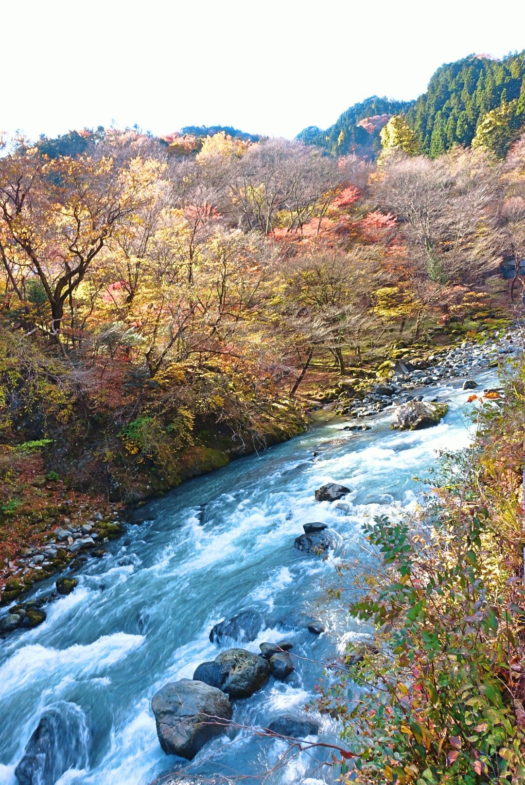 神橋下的大谷川河勢湍急，兩岸都有進入秋天的景緻，邊走邊看美景很悠閒