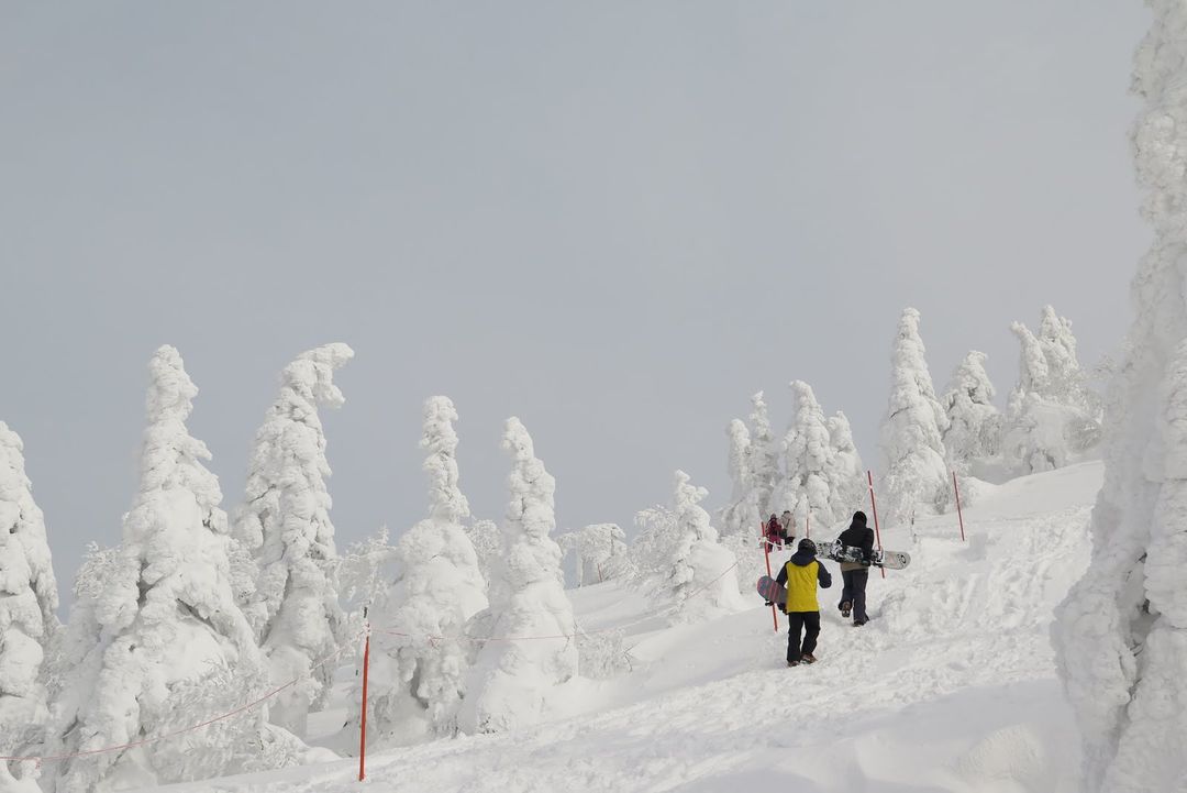 同場加映一個在秋田森吉山，我其實是去雪地健行看樹冰－森吉山阿仁滑雪場
