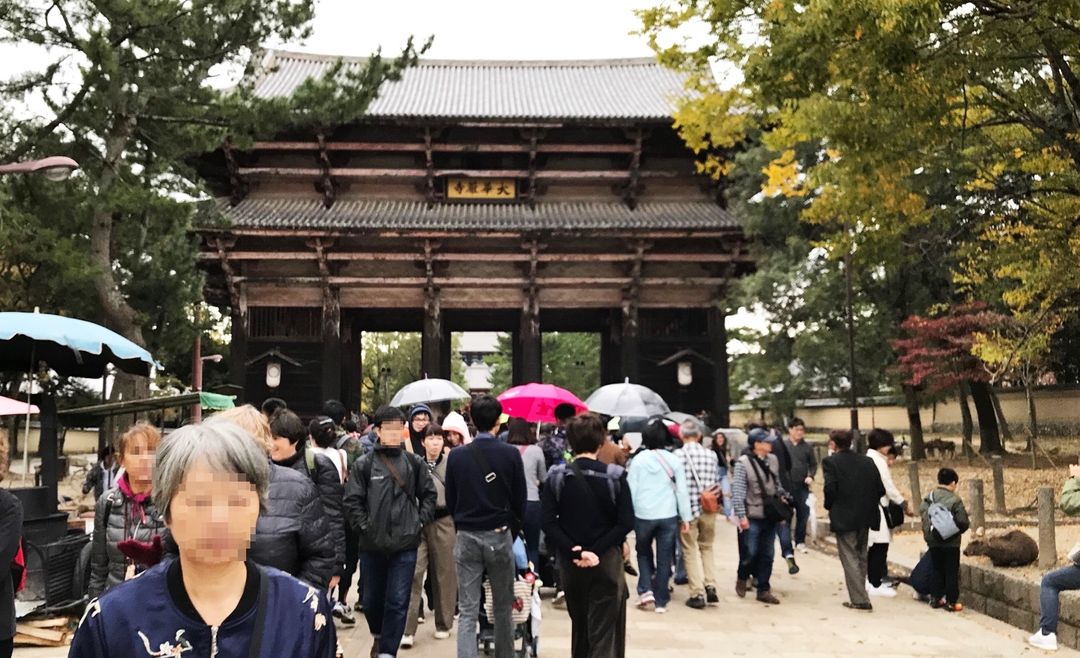 東大寺的遊客真的太多，奈良鹿比較像動物園的鹿，沒那麼喜歡與人親近