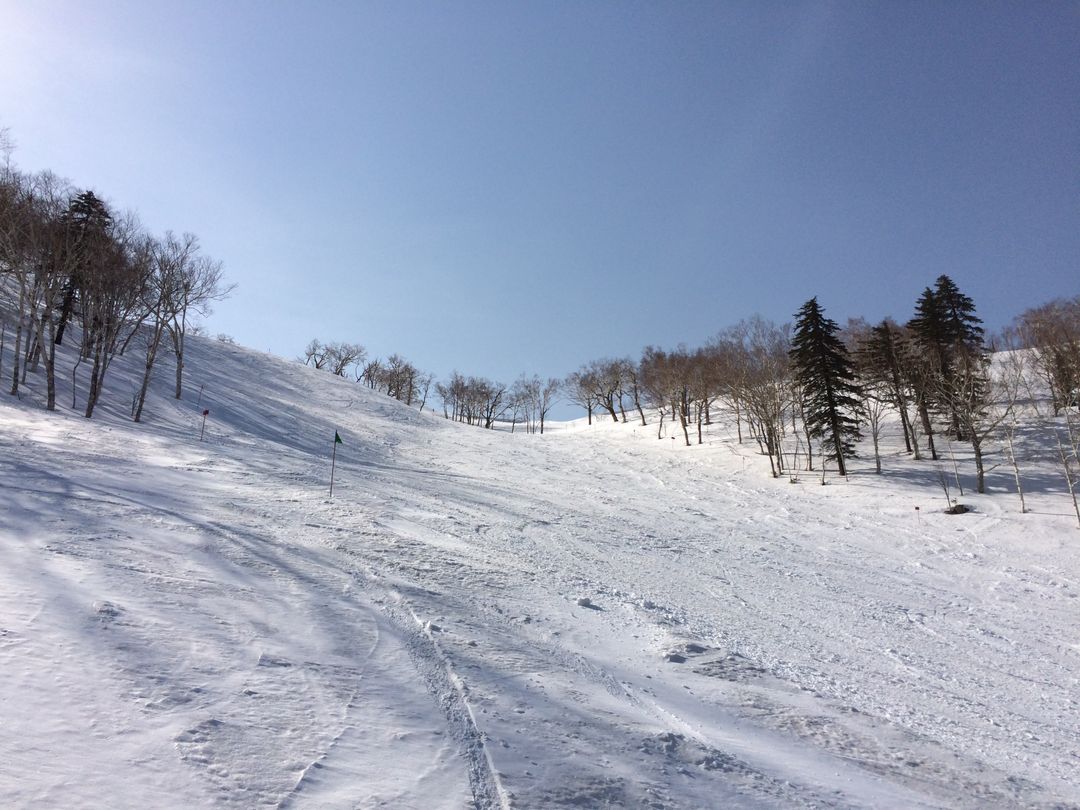 日本北海道富良野滑雪場★紅線 纜車視角(抓一下陡度)