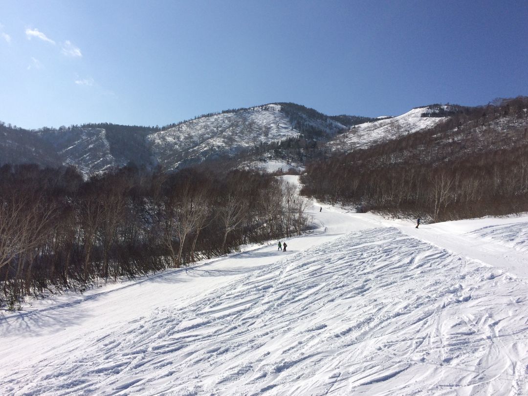 新潟－神樂滑雪場 五六座山都有綠線給你玩