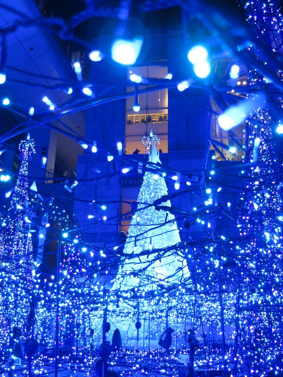 我們恭喜吧友 Zephyr的照片連續兩次獲得小編的青睞，這張拍攝於東京汐留的聖誕燈飾照真的太美啦!