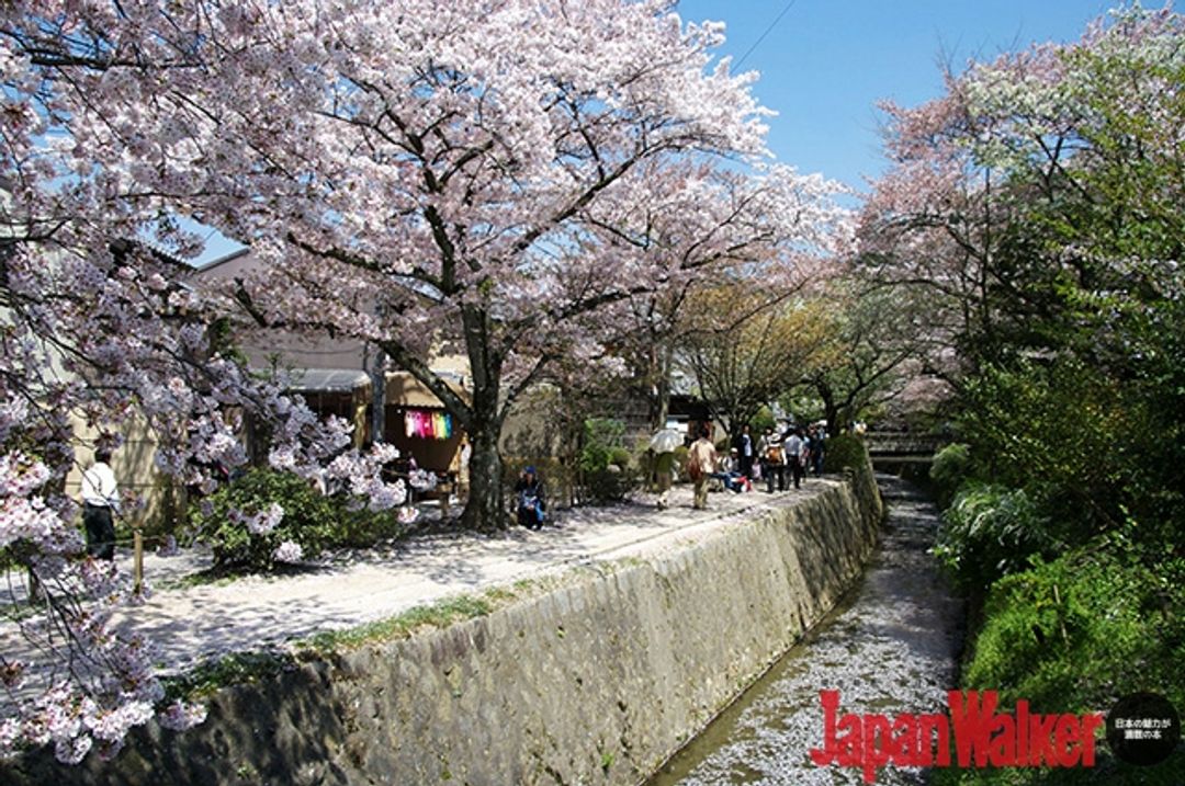 京都 一個人在京都 享受７種自在旅行的小確幸 日本 關西 旅行酒吧