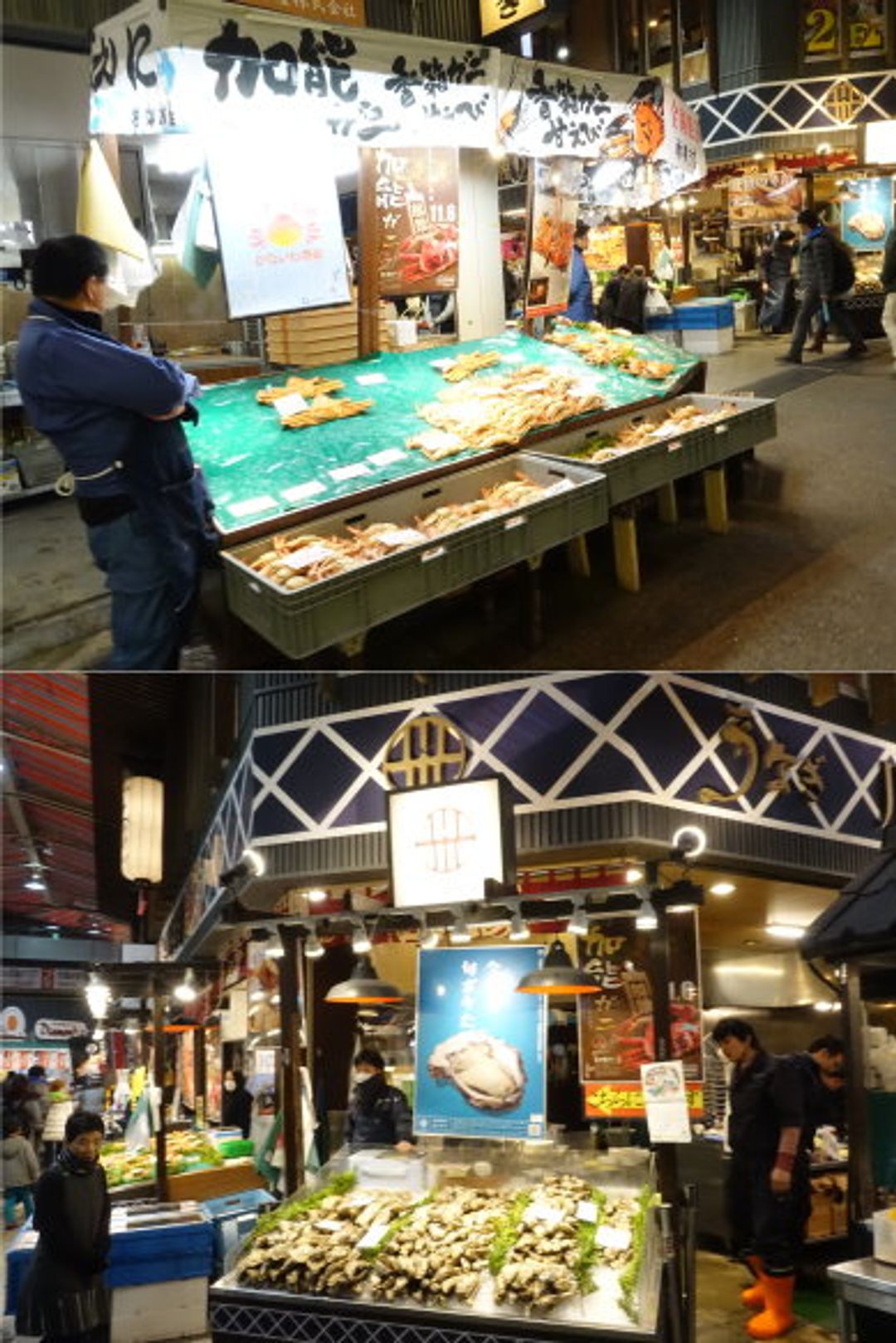 店家擺滿產於日本海的螃蟹、生蠔等海鮮