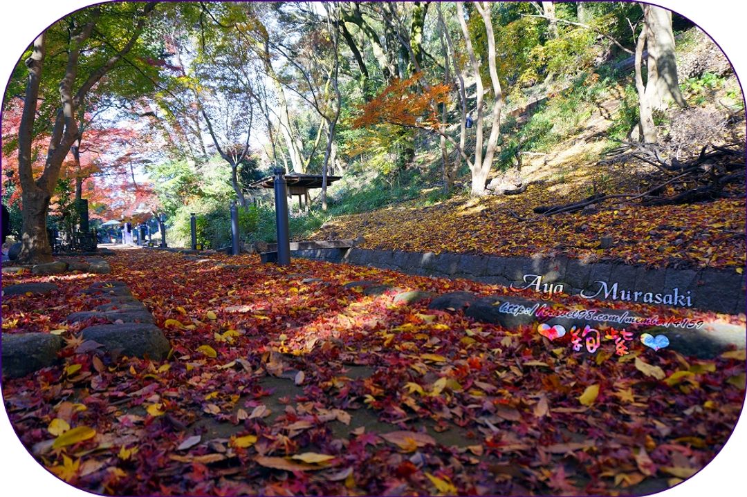 走出宇治上神社後，往右就是一片楓葉小徑~ 落葉滿地。