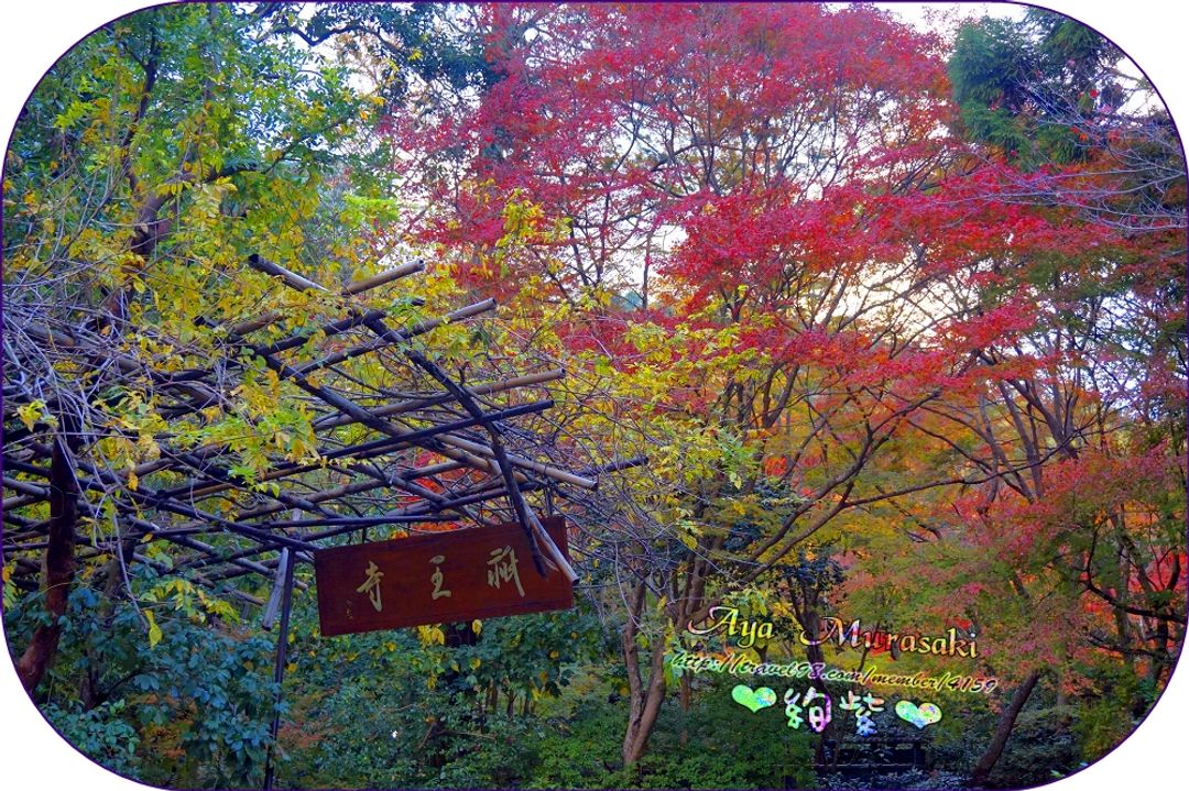 祇王寺位於奧嵯峨野地區裡靜謐的角落。