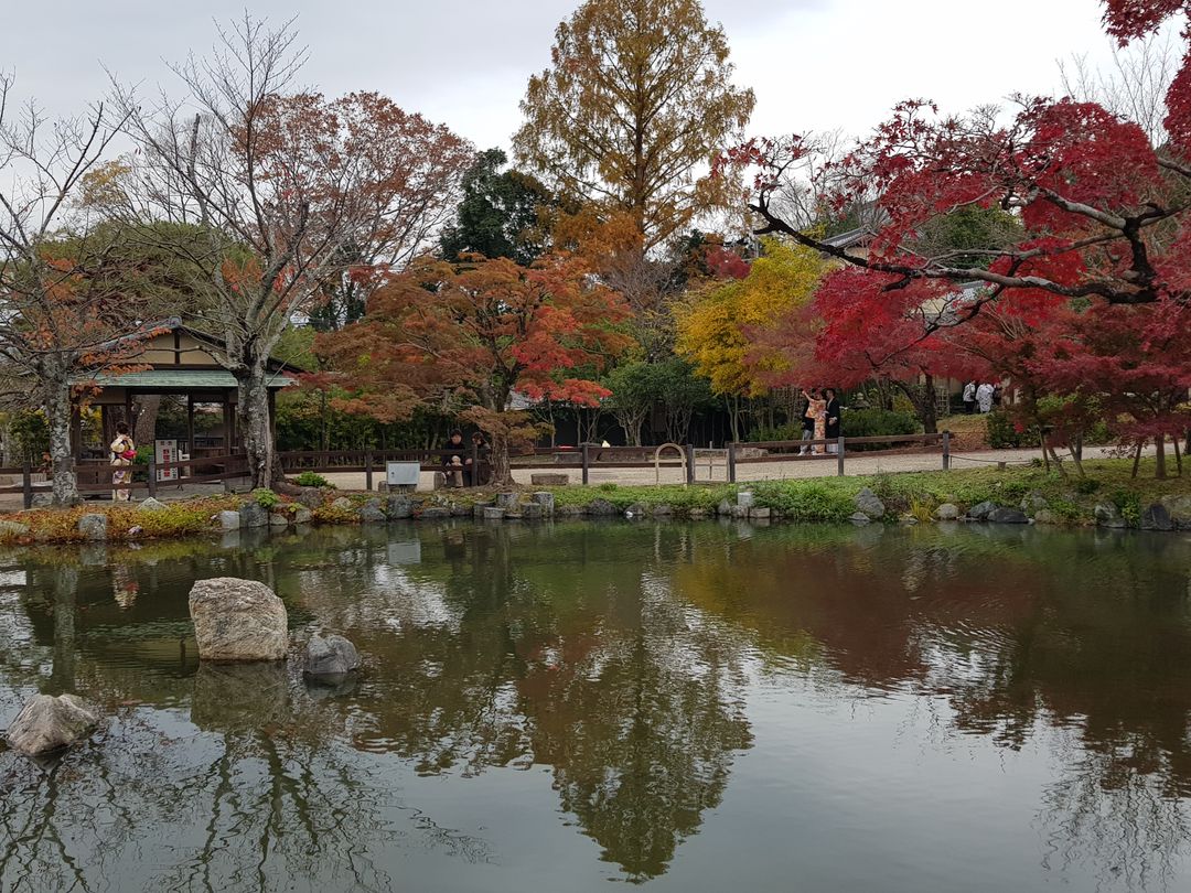 円山公園 ひょうたん池
