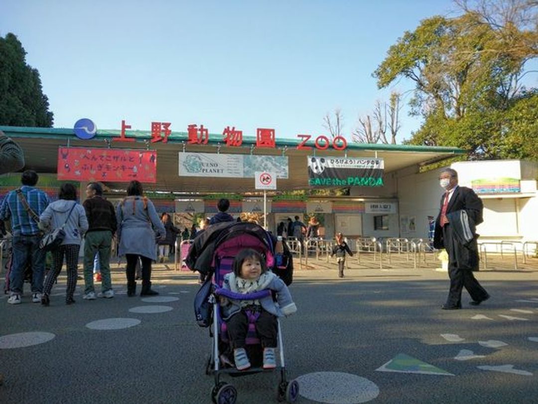 上野動物園 東京親子自由行景點推薦 日本 東京 關東 旅行酒吧