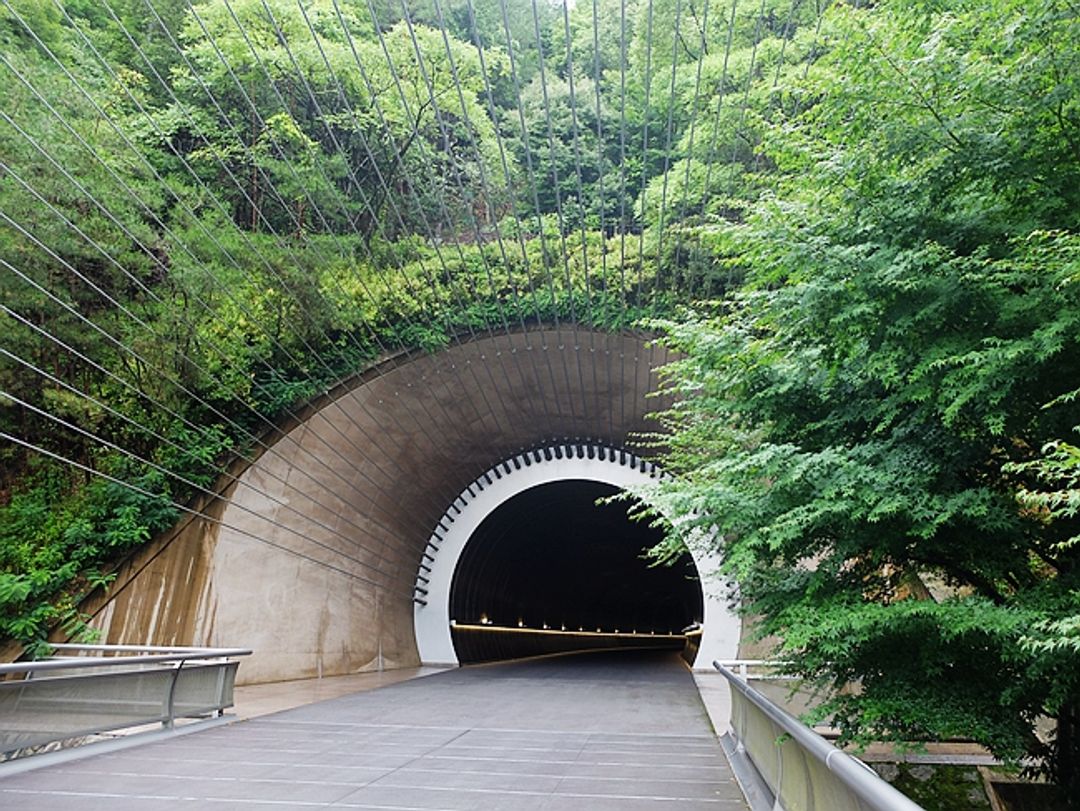 走出隧道是一座吊橋，從吊橋回望隧道口