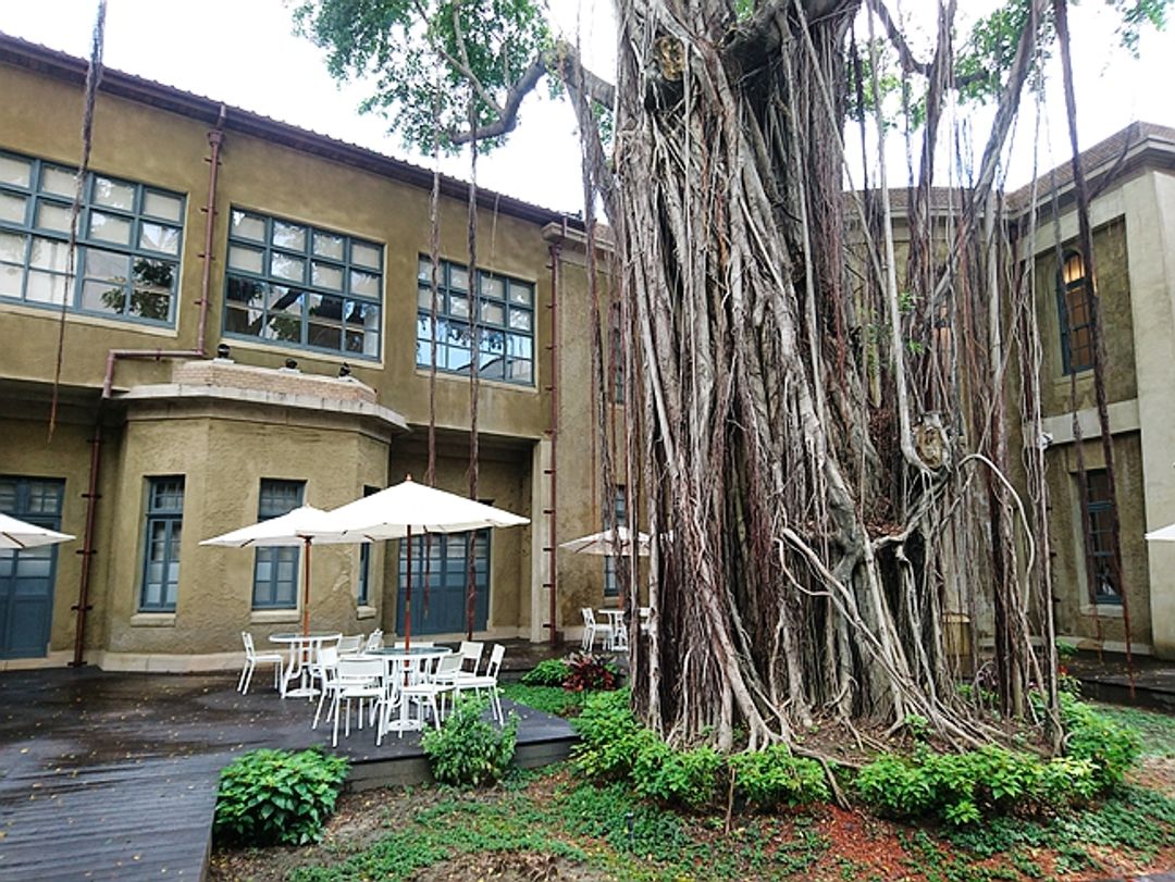 建物的中庭被保留下來，庭中有一棵歷史悠久的老樹