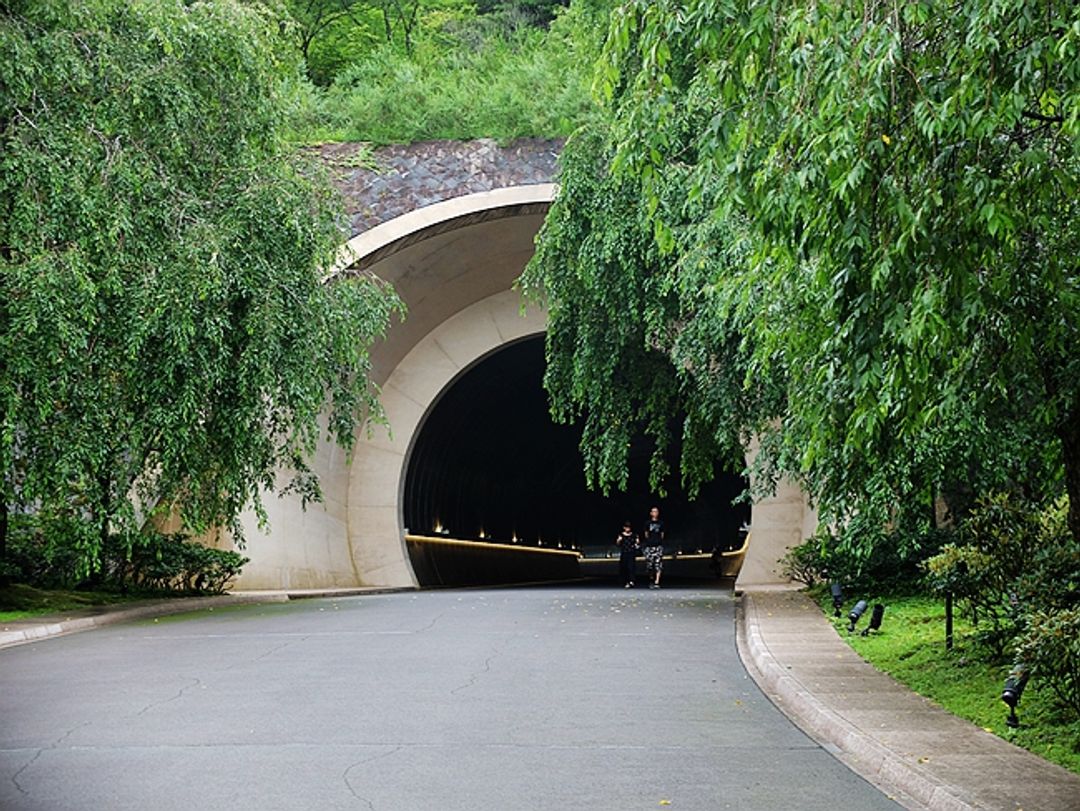 「忽逢桃花林，夾岸數百步」通往美術館的隧道兩旁栽種了櫻花林，春天來臨時會將天空染成嫣紅一片