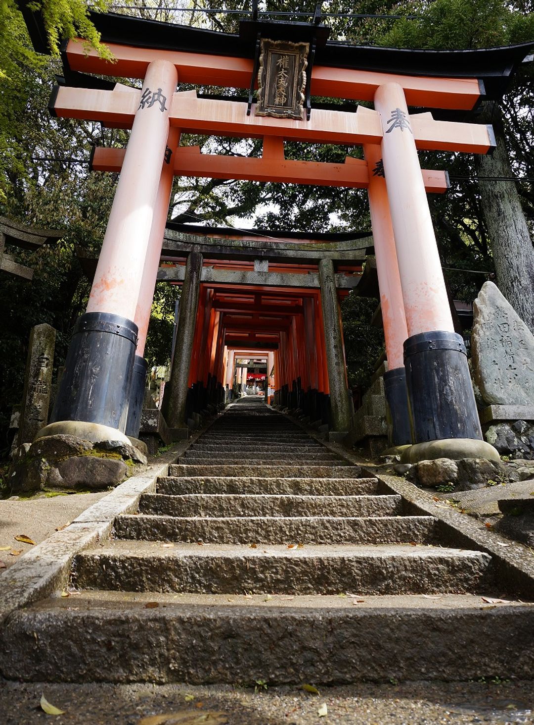 京都神社 伏見稻荷大社 關於信仰 上集 日本 關西 旅行酒吧