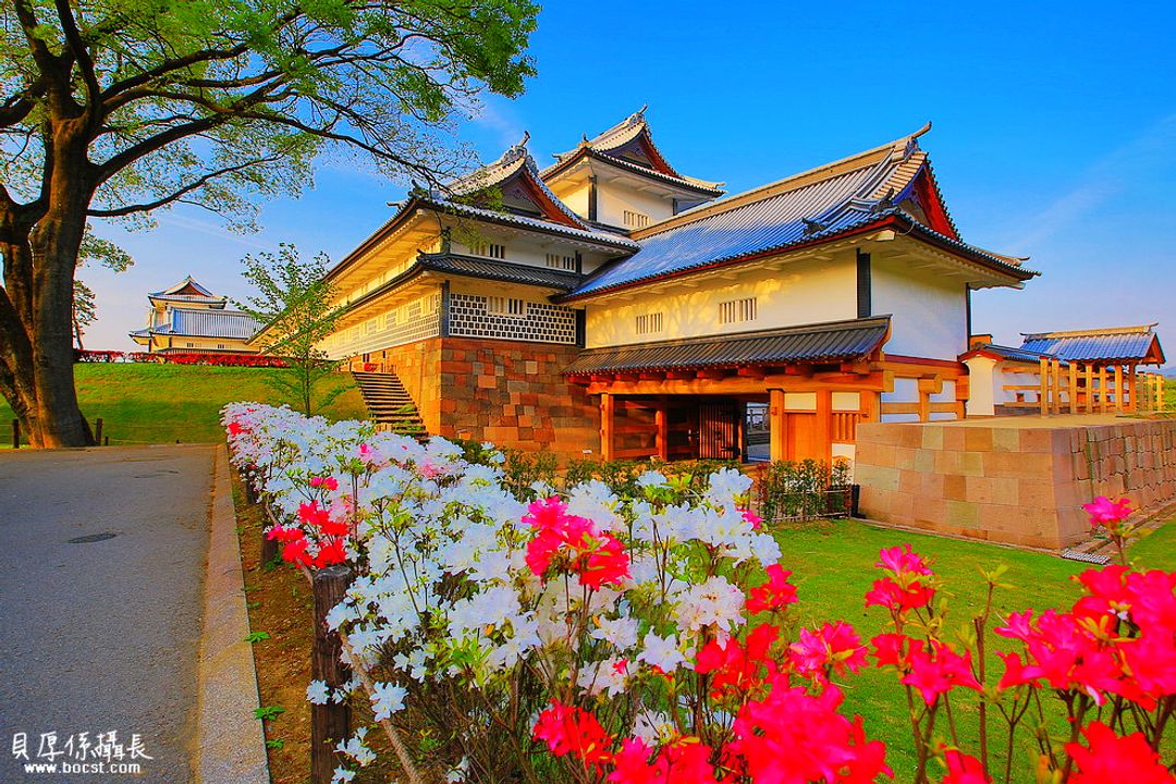 春天 立山 開山 漫步賞花趣 日本 東京 關東 旅行酒吧