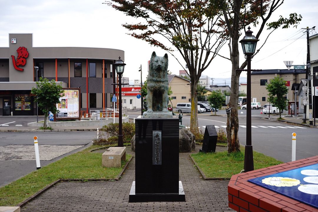 日本唯二的八公像：一個在東京涉谷，一個在秋田大館。