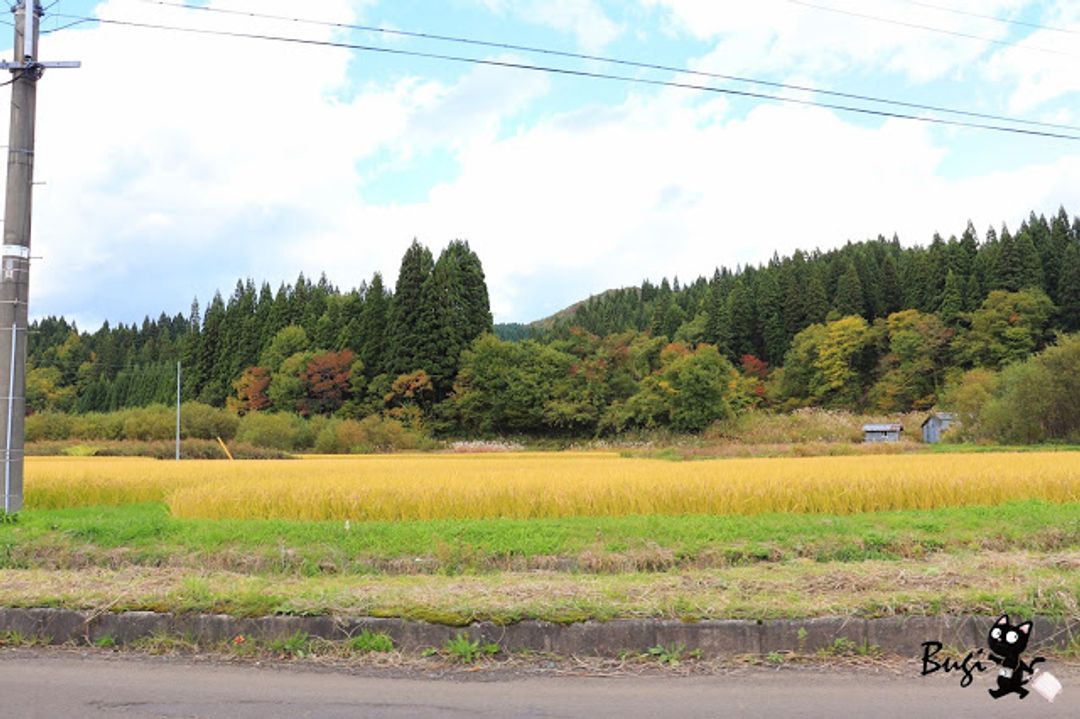 秋田大館秘境 走吧 去岩瀨川溪流畔賞楓 五色湖景致壯麗五色瀑布七彩繽紛 日本 東北 旅行酒吧