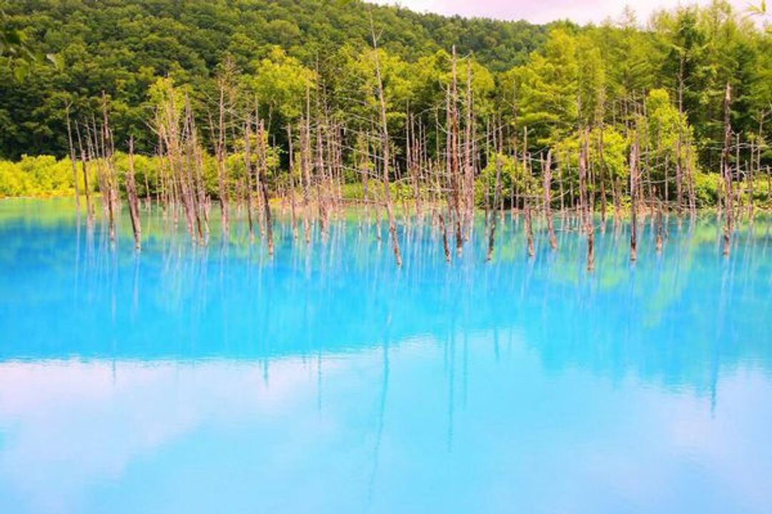 16夏日北海道 六天六夜行程快轉之day4 日本 北海道 旅行酒吧