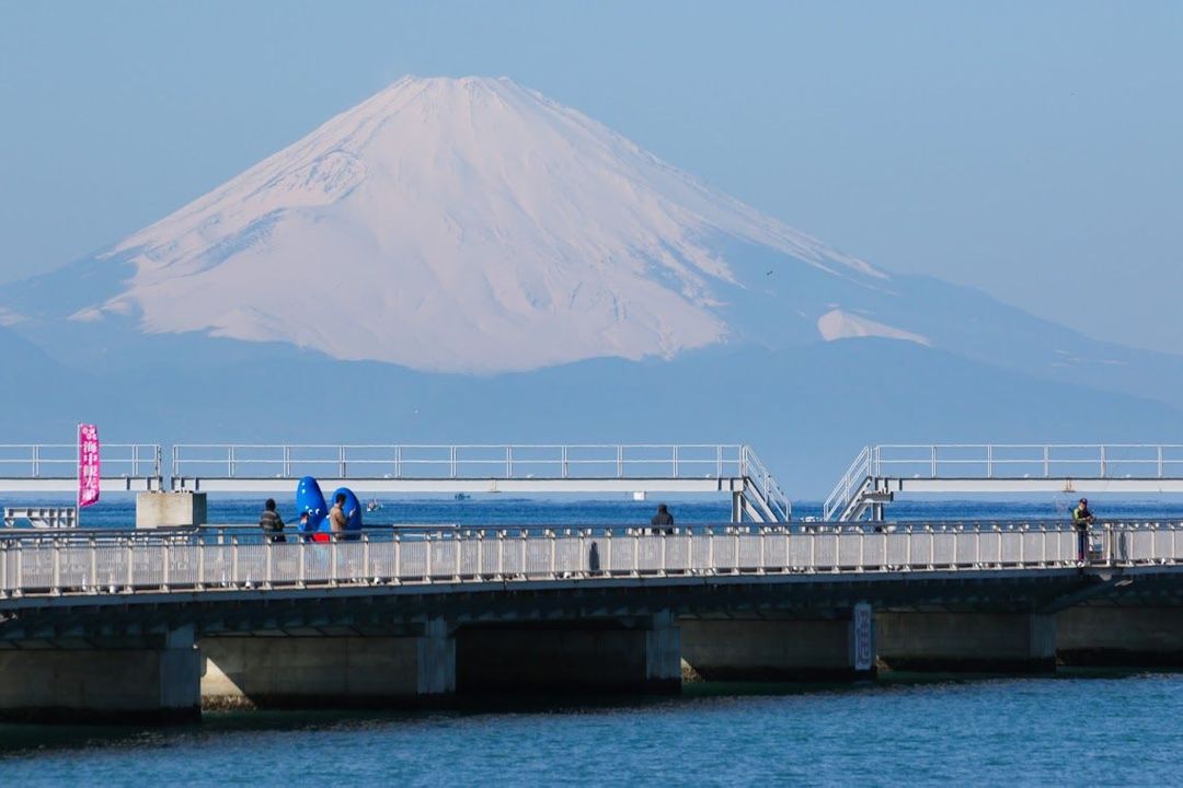 獨享超大富士山 富士絕景口袋名單 海與花的城市 千葉館山 日本 東京 關東 旅行酒吧
