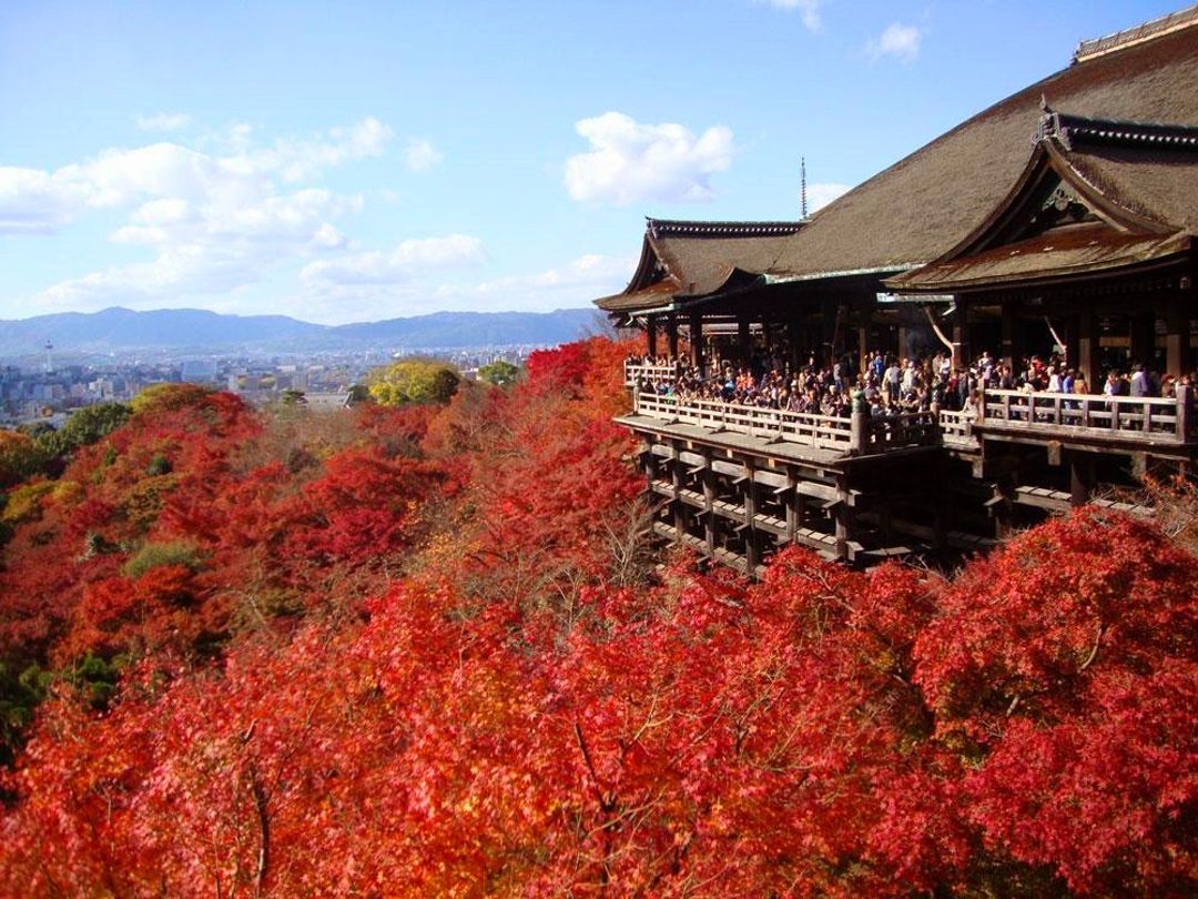 全國紅葉行事曆 紅葉季節預測 景點介紹 日本 北海道 旅行酒吧