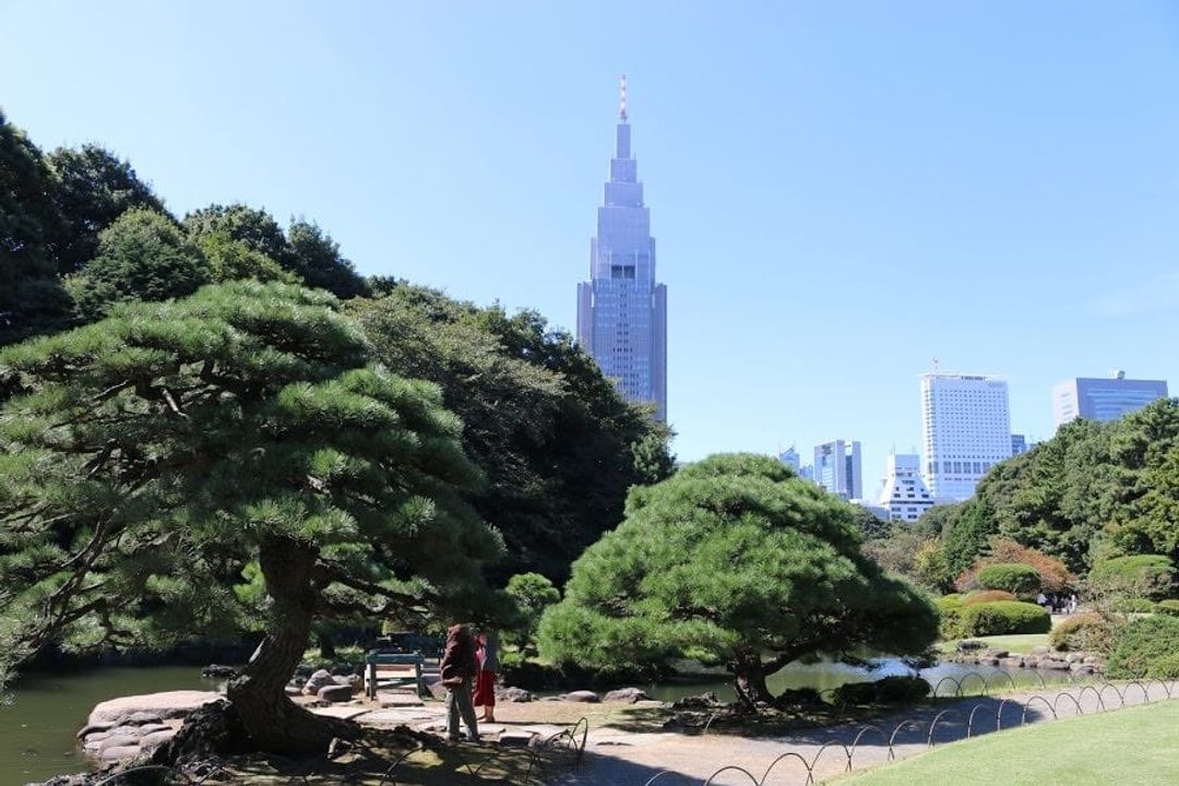 Japan article. Ботанический сад Синдзюку. Мисима город префектуры Синдзюку.