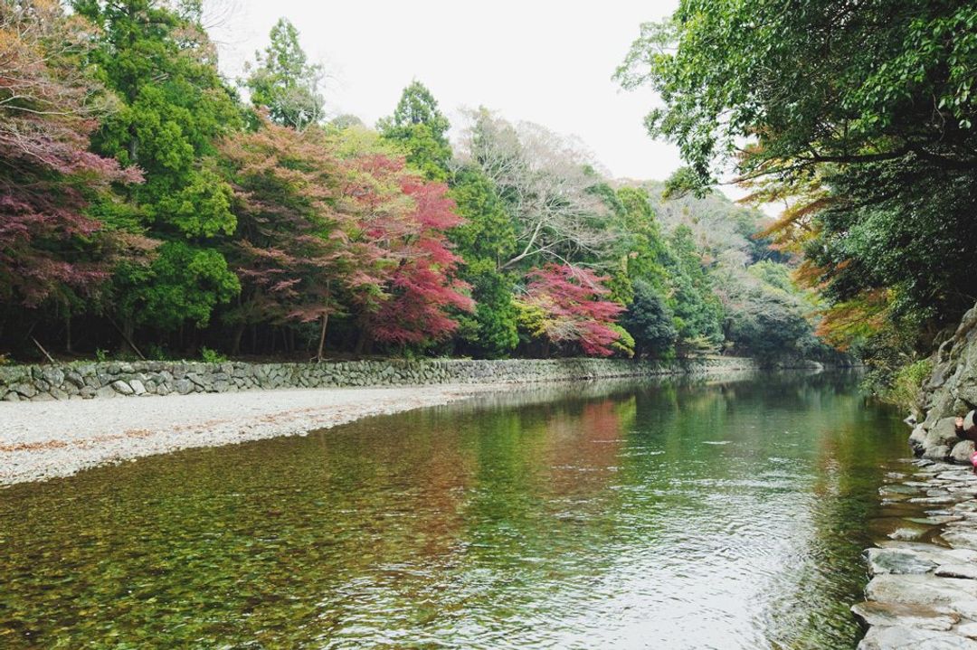 三重 神社之首 伊勢神宮 就是與眾不同 回歸日本的心靈原鄉 日本 關西 旅行酒吧