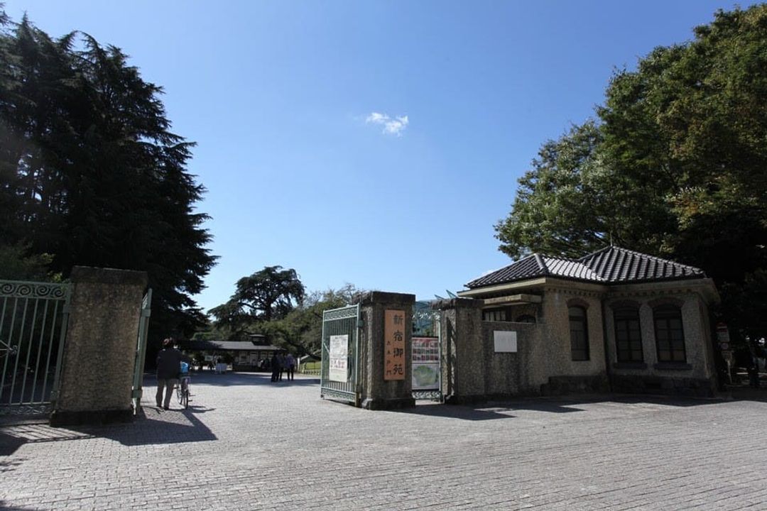 東京賞櫻 一篇上手 新宿御苑 上野公園兩大賞櫻景點 周邊美食攻略 日本 東京 關東 旅行酒吧