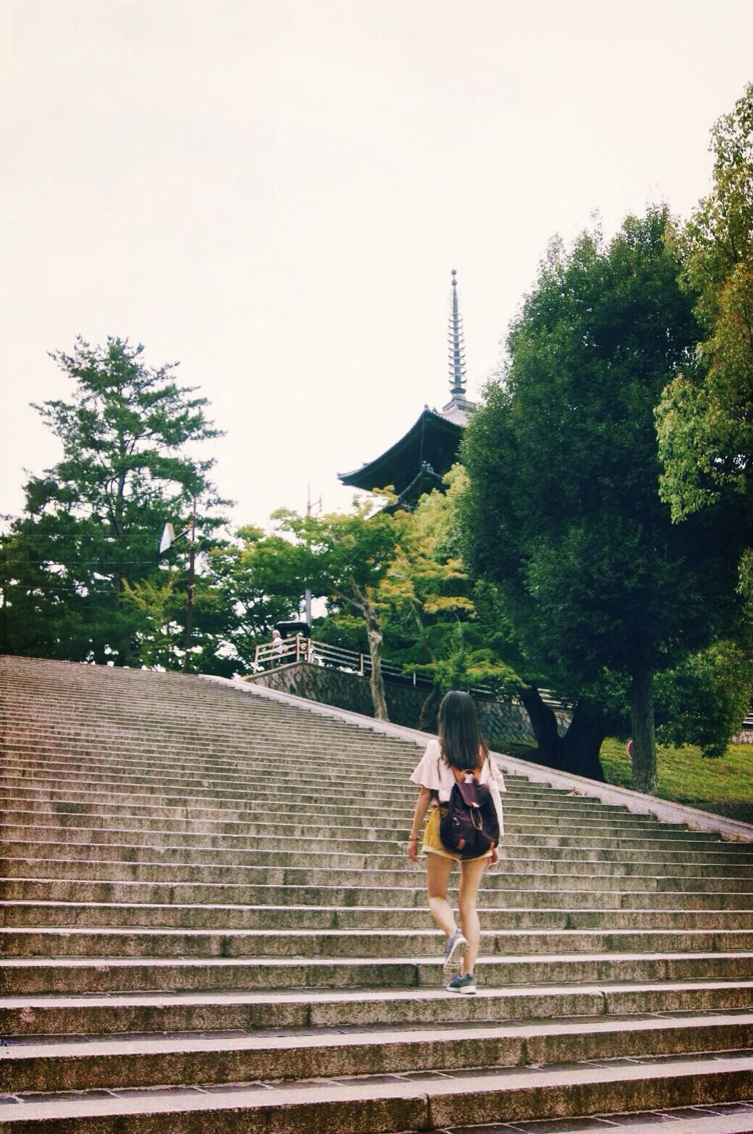 吃過午飯，爬上這段階梯就到興福寺囉！