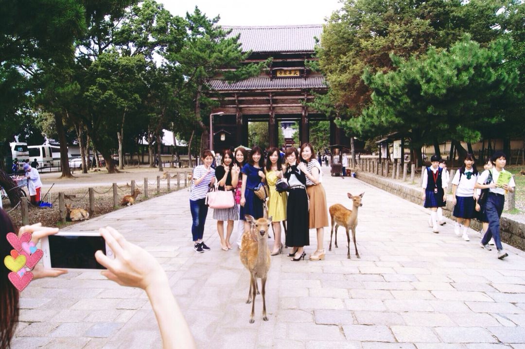 日本熟女團請我們幫忙拍照，她們對鹿又愛又怕，一直狂尖叫 😂