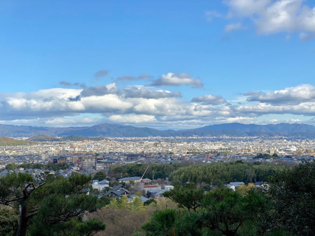 京都 冬 常寂光寺 日本 關西 旅行酒吧