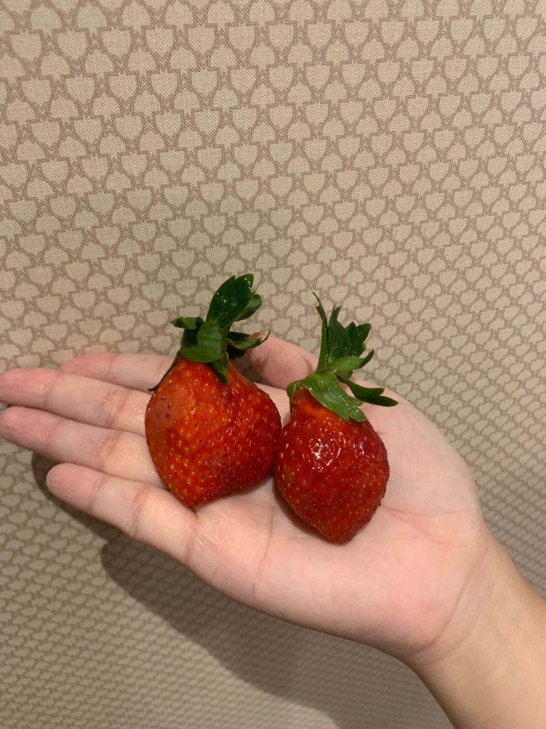 可口的草莓們