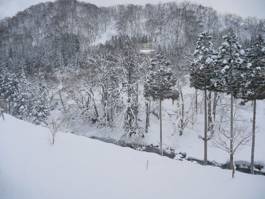 早晨起床時，飯店窗外的雪景