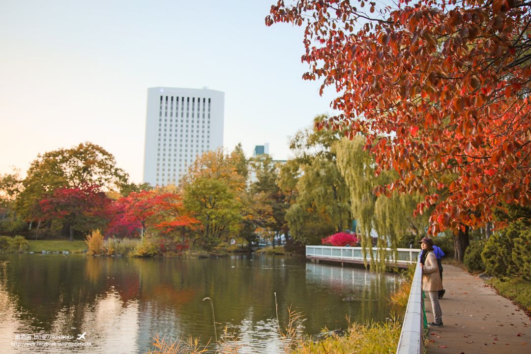 北海道札幌中島公園紅葉 日本 北海道 旅行酒吧