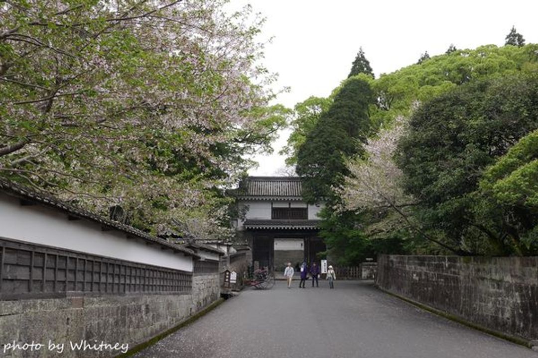 宮崎日南 飫肥城 日本 九州 旅行酒吧