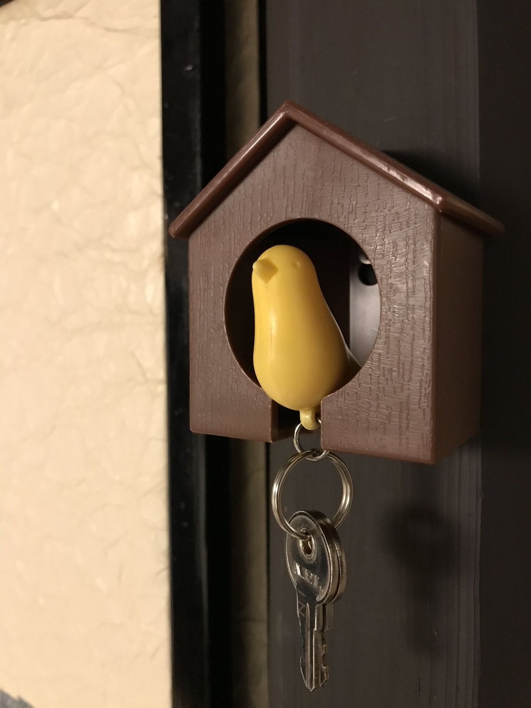 房門鑰匙小鳥還有專屬的家，促咪！